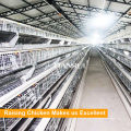 A Type Galvanized Automatic Chicken Layer Cage for Sale